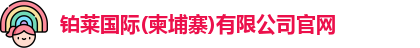 铂莱国际